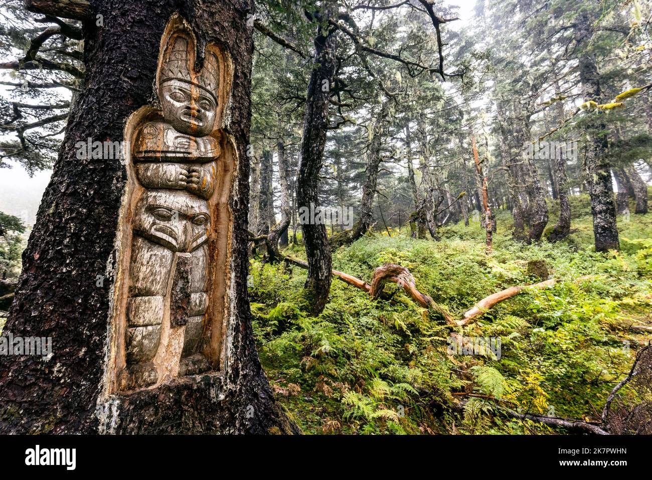 Traditionelle lebende Baumtotem-Schnitzereien auf dem Mount Roberts Trail - Juneau, Alaska, USA Stockfoto