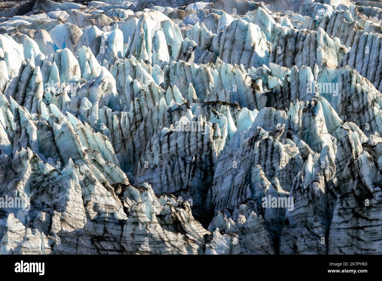 Lamplugh Glacier - Glacier Bay National Park and Preserve, in der Nähe von Juneau, Alaska, USA Stockfoto