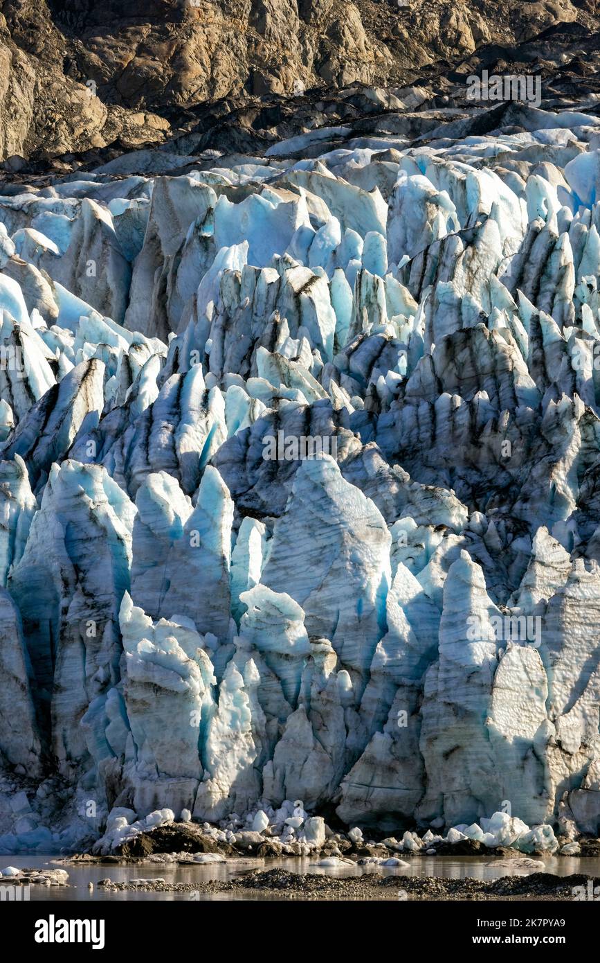 Lamplugh Glacier - Glacier Bay National Park and Preserve, in der Nähe von Juneau, Alaska, USA Stockfoto