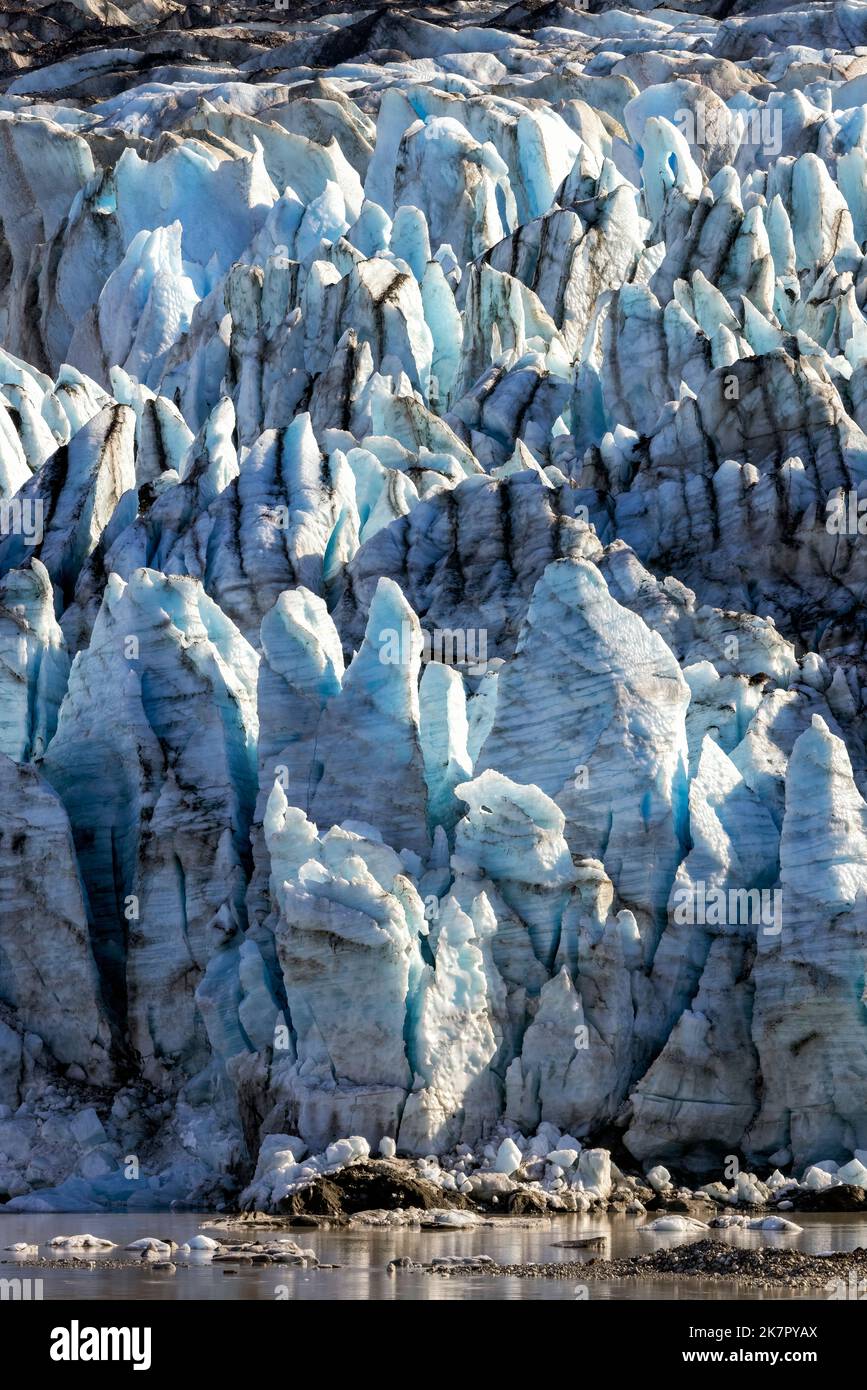 Lamplugh Glacier - Glacier Bay National Park and Preserve, in der Nähe von Juneau, Alaska, USA Stockfoto