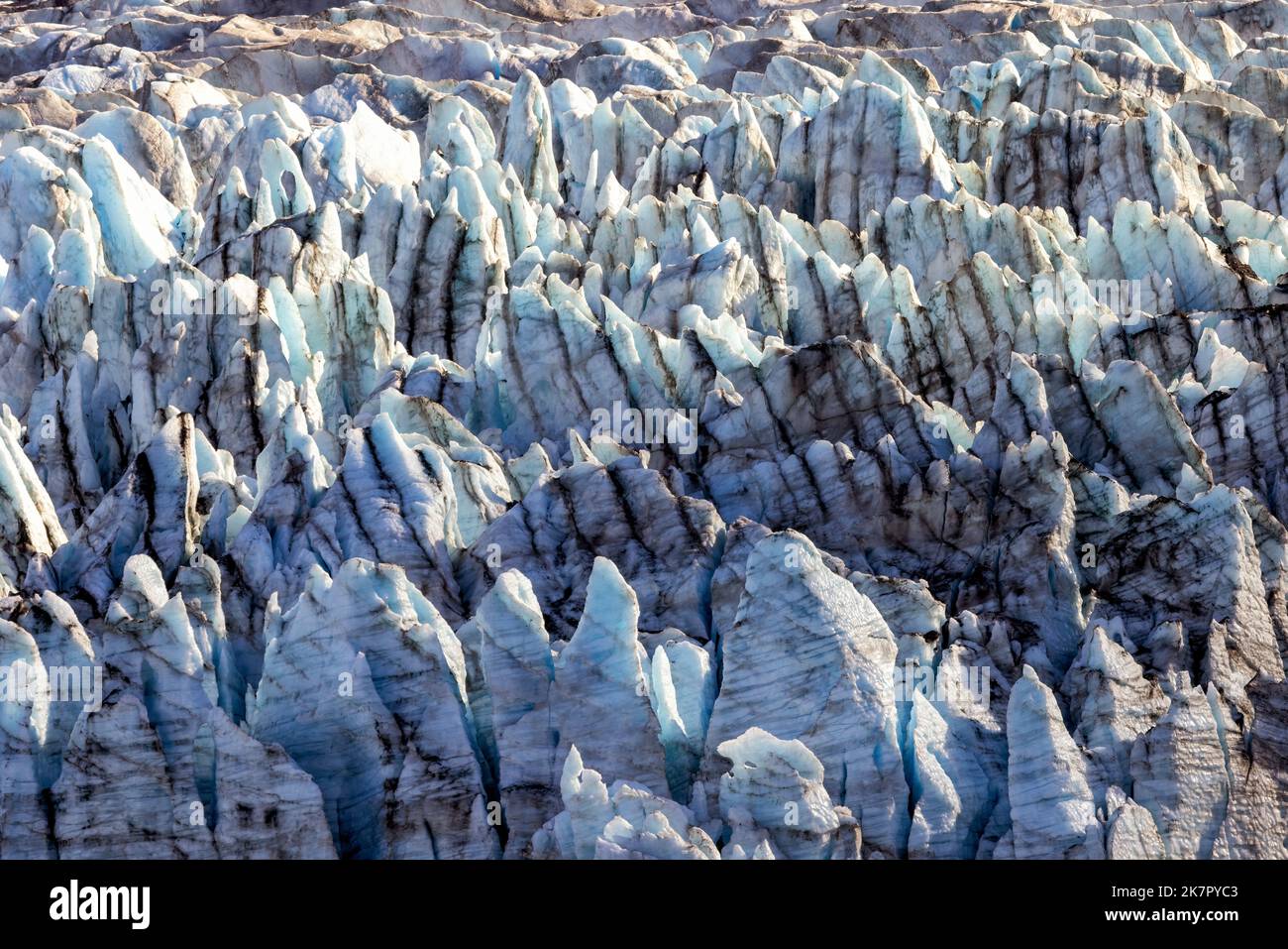 Lamplugh Glacier - Glacier Bay National Park and Preserve, in der Nähe von Juneau, Alaska, USA Stockfoto