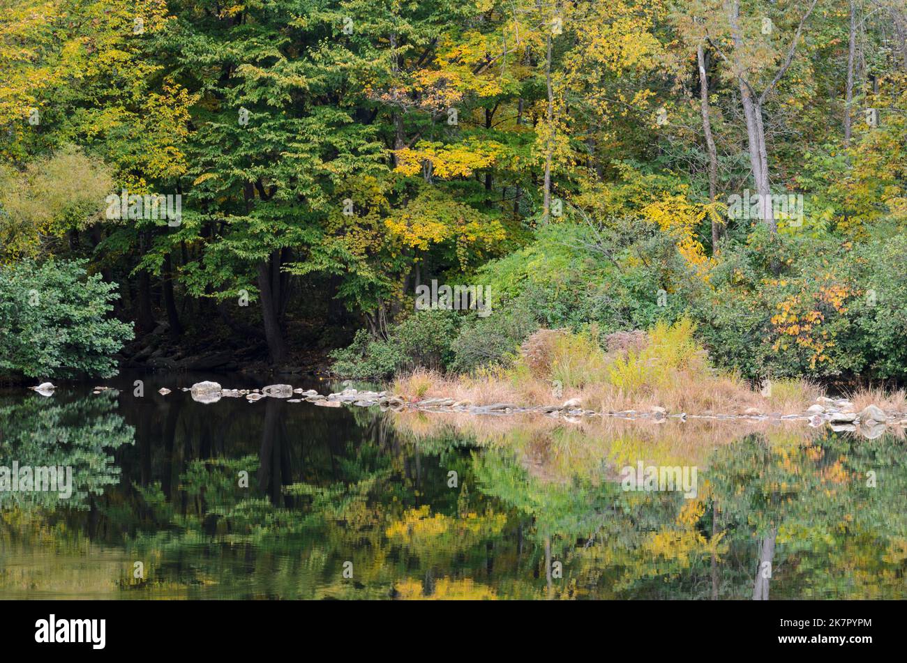 Herbstbäume spiegeln sich im Herbst im Frank Bentz Memorial Lake außerhalb von Thurmont, Maryland, USA. Stockfoto