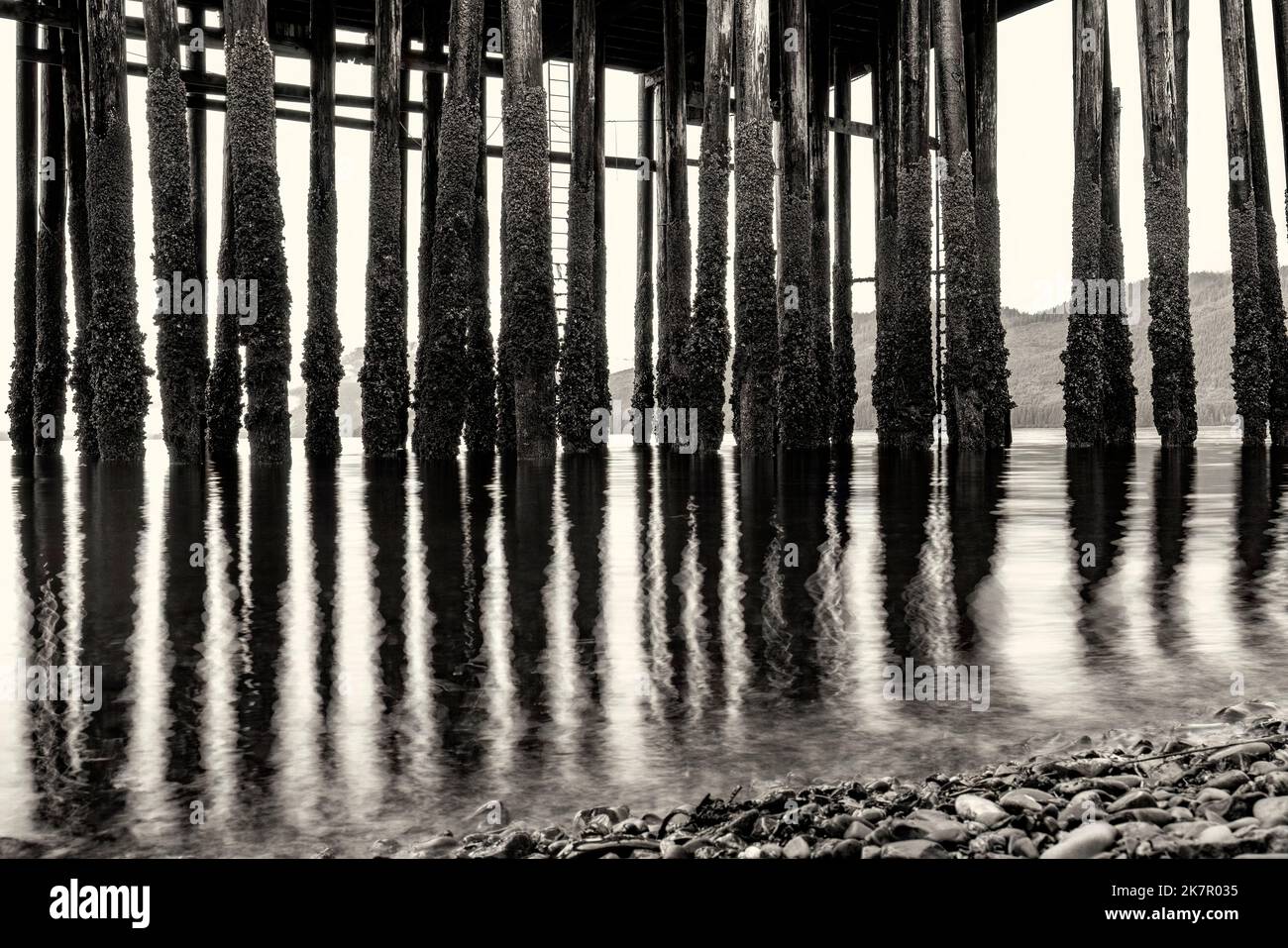 Abstraktes Bild von Pier Pilings - Icy Strait Point, Hoonah, Alaska, USA [B&W] Stockfoto