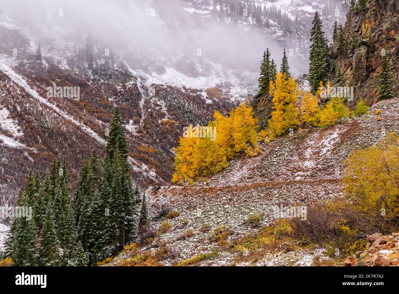 Wolken hängen tief über der Silver Crown Mine Road in einer Schlucht im Chattanooga Valley am Million Dollar Highway nördlich von Silverton, Colorado. Stockfoto