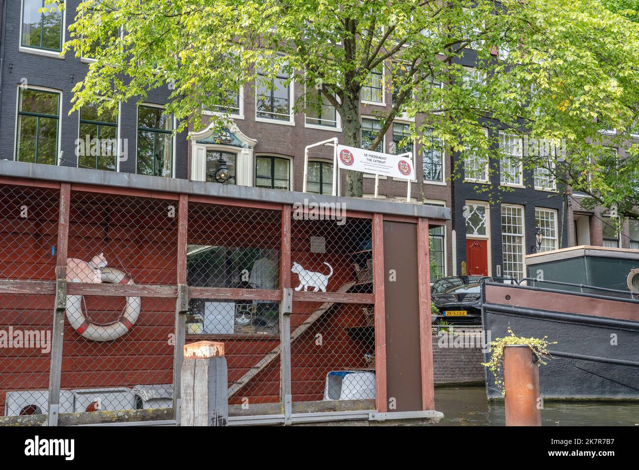 Hausbootkatzen und -Haustiere Adoption De Poezenboot in Amsterdam ist ein gemeinnütziges Tierschutzgebiet und Souvenirladen Stockfoto