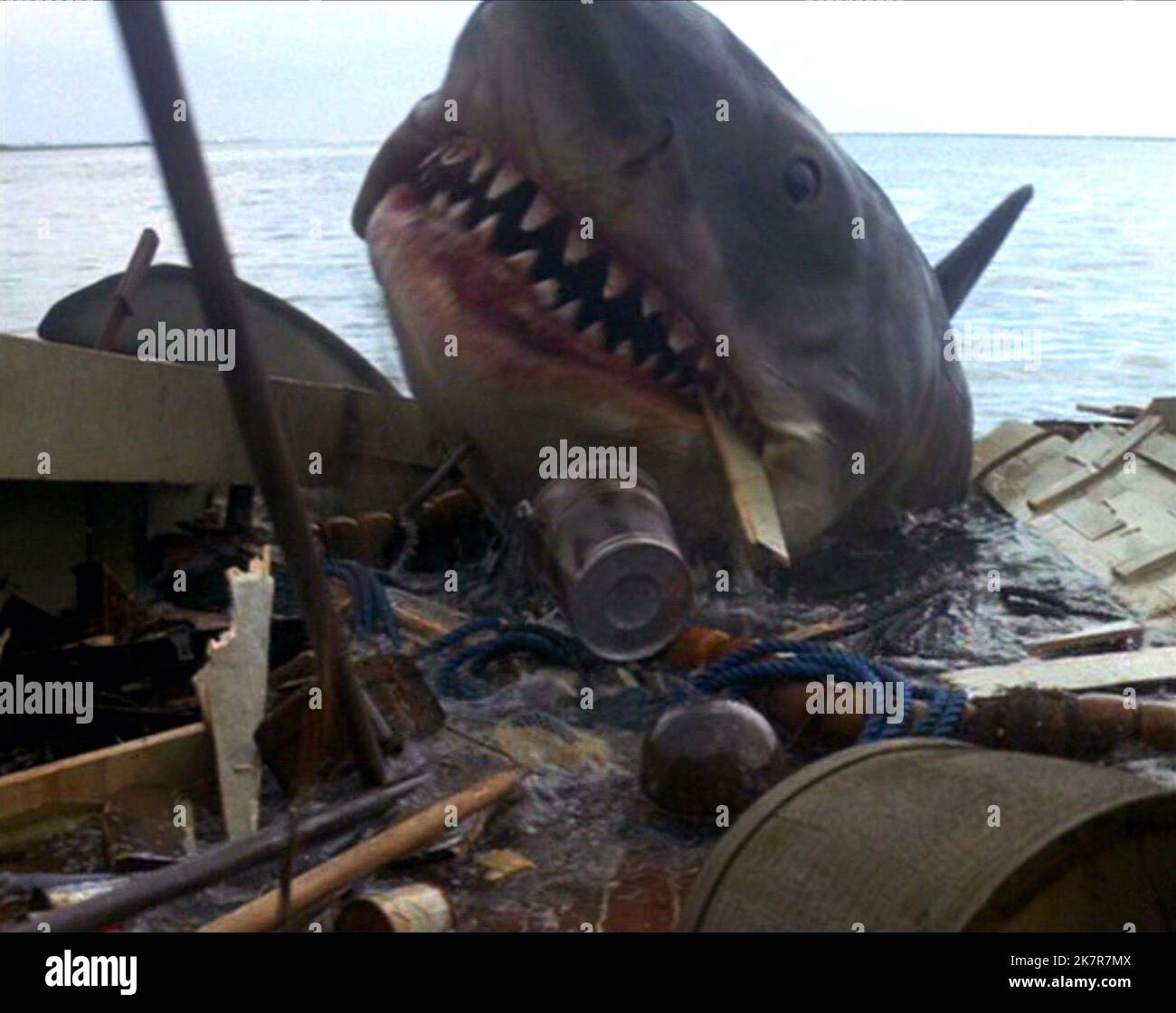 Great White Shark Film: Jaws (USA 1975) / Mechanical Shark „Bruce“ Regie: Steven Spielberg 20 June 1975 **WARNUNG** Dieses Foto ist nur für redaktionelle Zwecke bestimmt und unterliegt dem Copyright von UNIVERSAL und/oder dem Fotografen, der von der Film- oder Produktionsfirma beauftragt wurde und darf nur von Publikationen im Zusammenhang mit der Bewerbung des oben genannten Films reproduziert werden. Eine obligatorische Gutschrift an UNIVERSAL ist erforderlich. Der Fotograf sollte auch bei Bekanntwerden des Fotos gutgeschrieben werden. Ohne schriftliche Genehmigung der Film Company kann keine kommerzielle Nutzung gewährt werden. Stockfoto