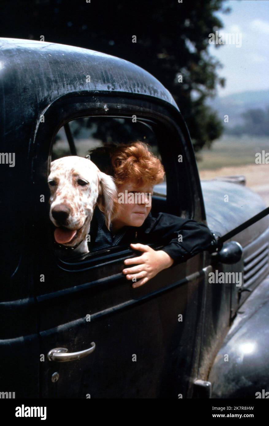 Johnny Whitaker Film: The Biscuit Eater (1972) Charaktere: Lonnie McNeil Regie: Vincent Mceveety 19 March 1972 **WARNUNG** Dieses Foto ist nur für den redaktionellen Gebrauch bestimmt und unterliegt dem Copyright von WALY DISNEY und/oder dem Fotografen, der von der Film- oder Produktionsfirma beauftragt wurde, und kann nur durch Publikationen im Zusammenhang mit der Bewerbung des oben genannten Films reproduziert werden. Eine obligatorische Gutschrift an WALY DISNEY ist erforderlich. Der Fotograf sollte auch bei Bekanntwerden des Fotos gutgeschrieben werden. Ohne schriftliche Genehmigung der Film Company kann keine kommerzielle Nutzung gewährt werden. Stockfoto