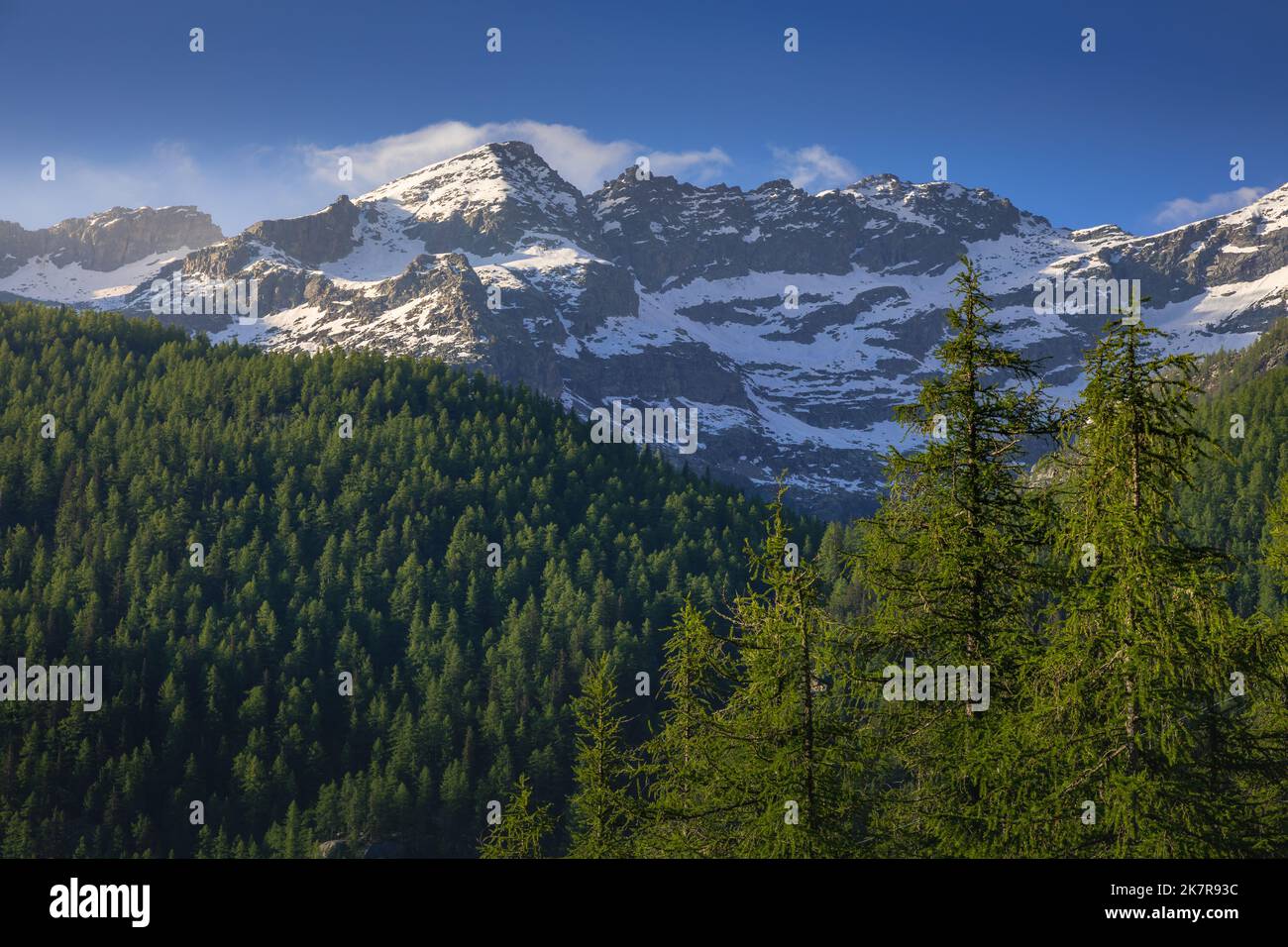 Gran Paradiso schneebedeckte Berglandschaft: Italienische alpen in Norditalien Stockfoto