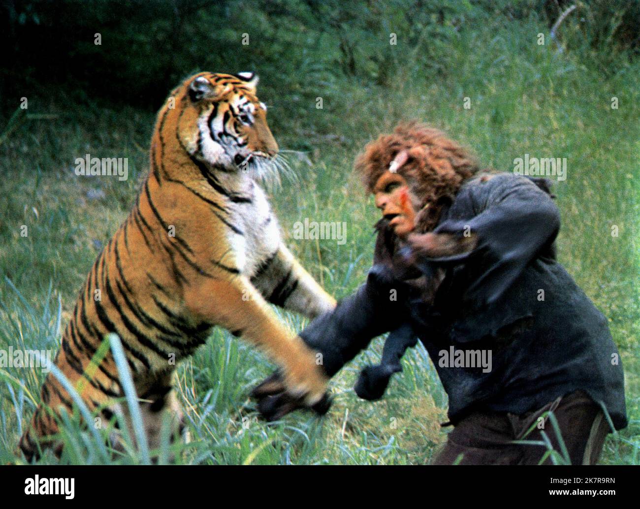 Tiger & Gary Baxley Film: The Island Of Dr. Moreau (1977) Charaktere: & Lionman Regie: Don Taylor 13 July 1977 **WARNUNG** Dieses Foto ist nur für redaktionelle Zwecke bestimmt und unterliegt dem Copyright von WARNER BROS und/oder des Fotografen, der von der Film- oder Produktionsfirma beauftragt wurde, und kann nur von Publikationen im Zusammenhang mit der Bewerbung des oben genannten Films reproduziert werden. Eine obligatorische Gutschrift an WARNER BROS ist erforderlich. Der Fotograf sollte auch bei Bekanntwerden des Fotos gutgeschrieben werden. Ohne schriftliche Genehmigung der Film Company kann keine kommerzielle Nutzung gewährt werden. Stockfoto