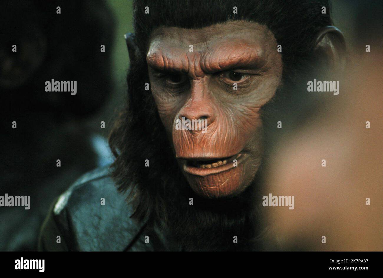 APE Scene Film Escape from the Planet of the Apes (1972) Regie: Don Taylor 21. Mai 1971 **WARNUNG** dieses Foto ist nur für redaktionelle Zwecke bestimmt und unterliegt dem Copyright von 20TH CENTURY FOX und/oder dem Fotografen, der von der Film- oder Produktionsgesellschaft beauftragt wurde. Es kann nur durch Veröffentlichungen in Verbindung mit der Werbung für den obigen Film reproduziert werden. Eine obligatorische Gutschrift für 20TH CENTURY FOX ist erforderlich. Der Fotograf sollte ebenfalls angerechnet werden, wenn er bekannt ist. Ohne schriftliche Genehmigung der Film Company kann keine kommerzielle Nutzung gewährt werden. Stockfoto