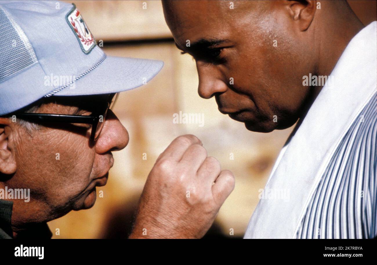 Martin Ritt & James Earl Jones Film The Great White Hope (1970) Charaktere: Jack Jefferson Regie: Martin Ritt 11. Oktober 1970 **WARNUNG** dieses Foto ist nur für redaktionelle Zwecke bestimmt und unterliegt dem Urheberrecht von 20 CENTURY FOX und/oder dem Fotografen, der von der Film or Production Company beauftragt wurde. Eine obligatorische Gutschrift für 20 CENTURY FOX ist erforderlich. Der Fotograf sollte ebenfalls angerechnet werden, wenn er bekannt ist. Ohne schriftliche Genehmigung der Film Company kann keine kommerzielle Nutzung gewährt werden. Stockfoto