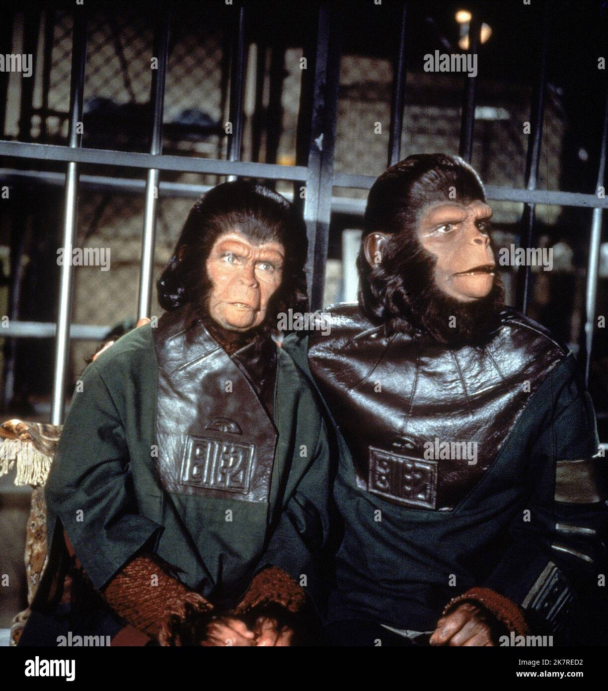 Kim Hunter & Roddy McDowall Film Escape from the Planet of the Apes (1971) Charaktere: Zira, Cornelius Regie: Don Taylor 21. Mai 1971 **WARNUNG** dieses Foto ist nur für redaktionelle Zwecke bestimmt und unterliegt dem Copyright von 20TH CENTURY FOX und/oder dem Fotografen, der von der Film or Production Company zugewiesen wurde. Eine obligatorische Gutschrift für 20TH CENTURY FOX ist erforderlich. Der Fotograf sollte ebenfalls angerechnet werden, wenn er bekannt ist. Ohne schriftliche Genehmigung der Film Company kann keine kommerzielle Nutzung gewährt werden. Stockfoto