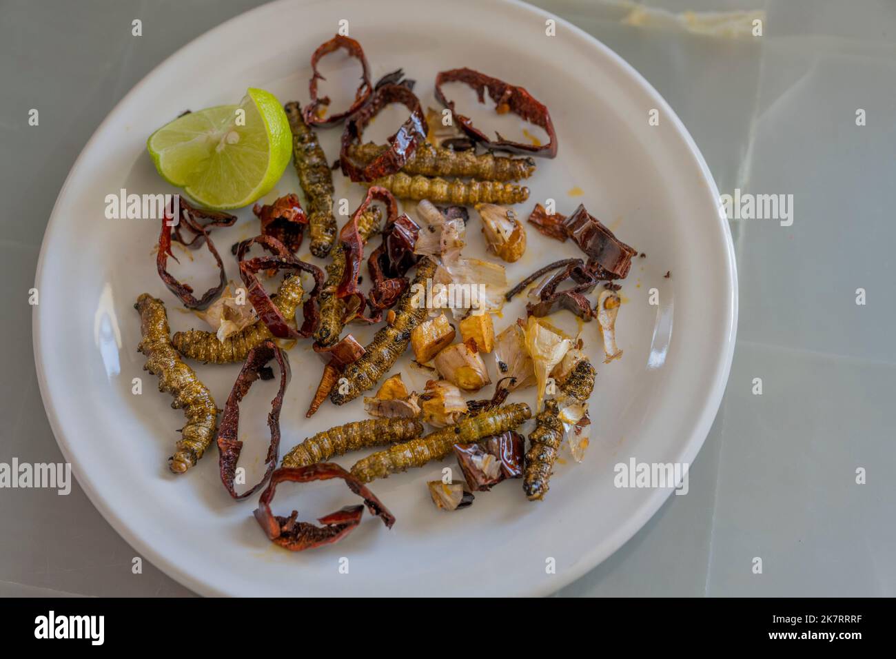 Ein lokales Gericht mit gebratenen Raupen in einem Restaurant in Zapotitlan de las Salinas, im Bundesstaat Puebla, Mexiko. Stockfoto