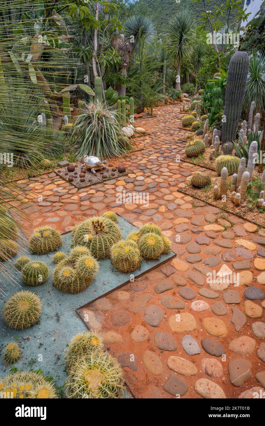 Der Vives Verde Garten (Park) in San Pablo Cuatro Venados, Oaxaca, Mexiko, zeigt Kunst aus Müll und hat mehr als 200 verschiedene Arten von p Stockfoto