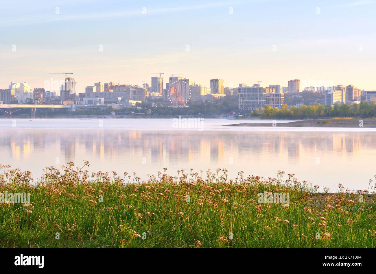 Nowosibirsk, Sibirien, Russland, 09.03.2022. Eine Stadt am Ufer des ob. Wildblumen am Flussufer, Häuser am Ufer am Horizont Stockfoto