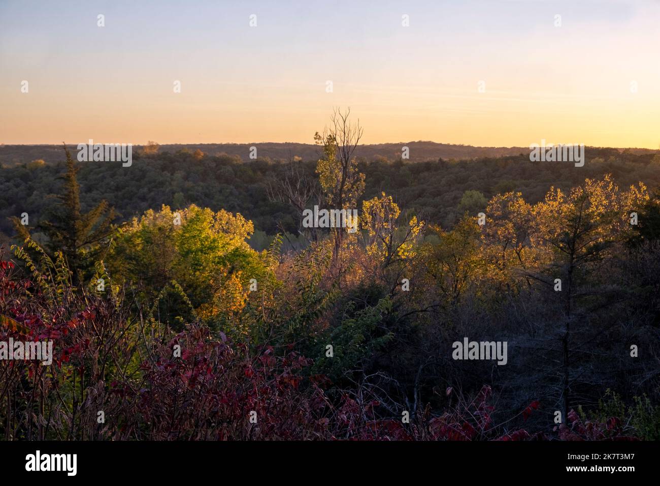 Herbstlicht in den Loess Hills im Westen von Iowa, USA Stockfoto