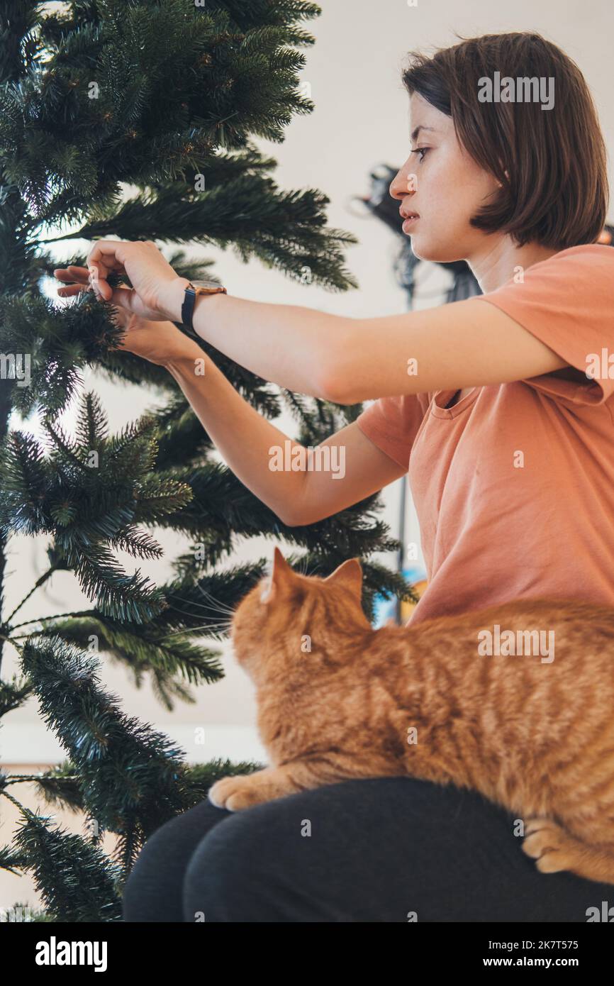 Mutter hält die Katze auf dem Knie, während sie die Zweige des künstlichen Weihnachtsbaums lockert und sich auf die Weihnachtsfeier vorbereitet. Menschen Stockfoto