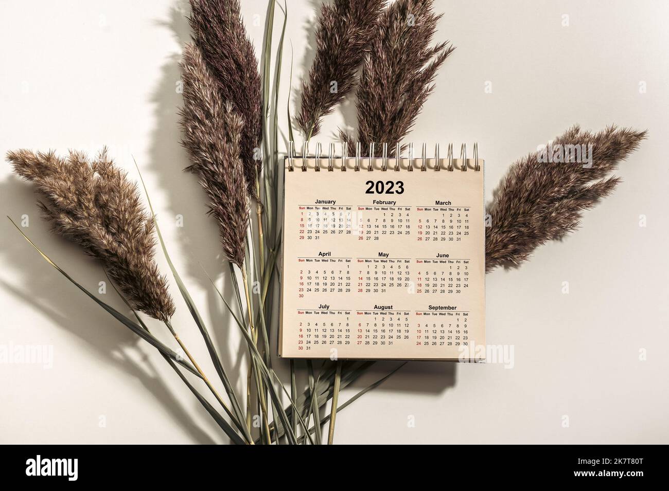 Kalendertisch 2023 auf weißem Hintergrund mit trockenem Gras. Lösungen, Strategien, Lösungen, Ziele, Geschäfts- und Neujahrsferien. Kalender Happy Ne Stockfoto