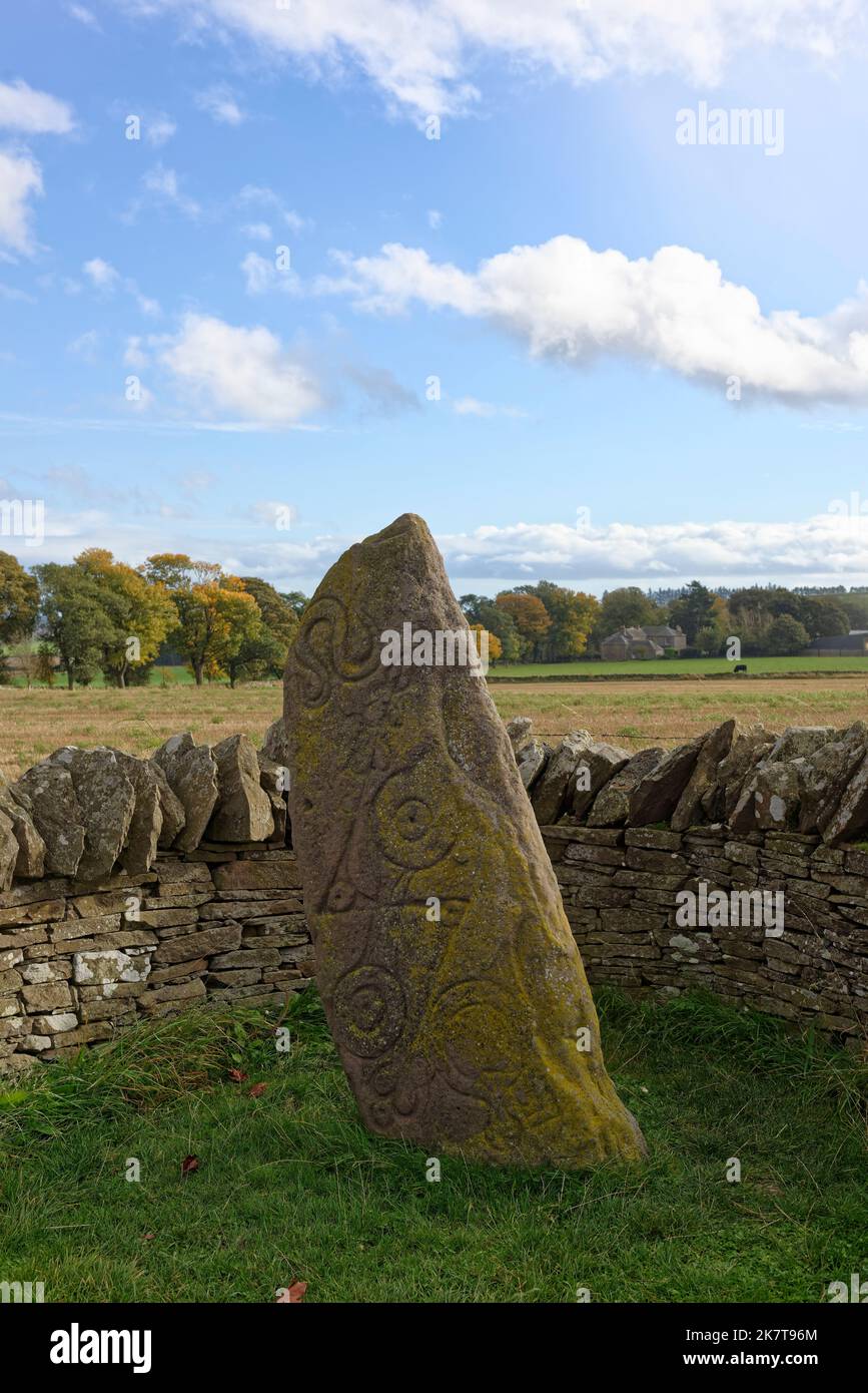 Der Schlangenstein von Aberlemno 1 an einem Herbsttag geformte Steinwand im Angus Village von Aberlemno. Stockfoto