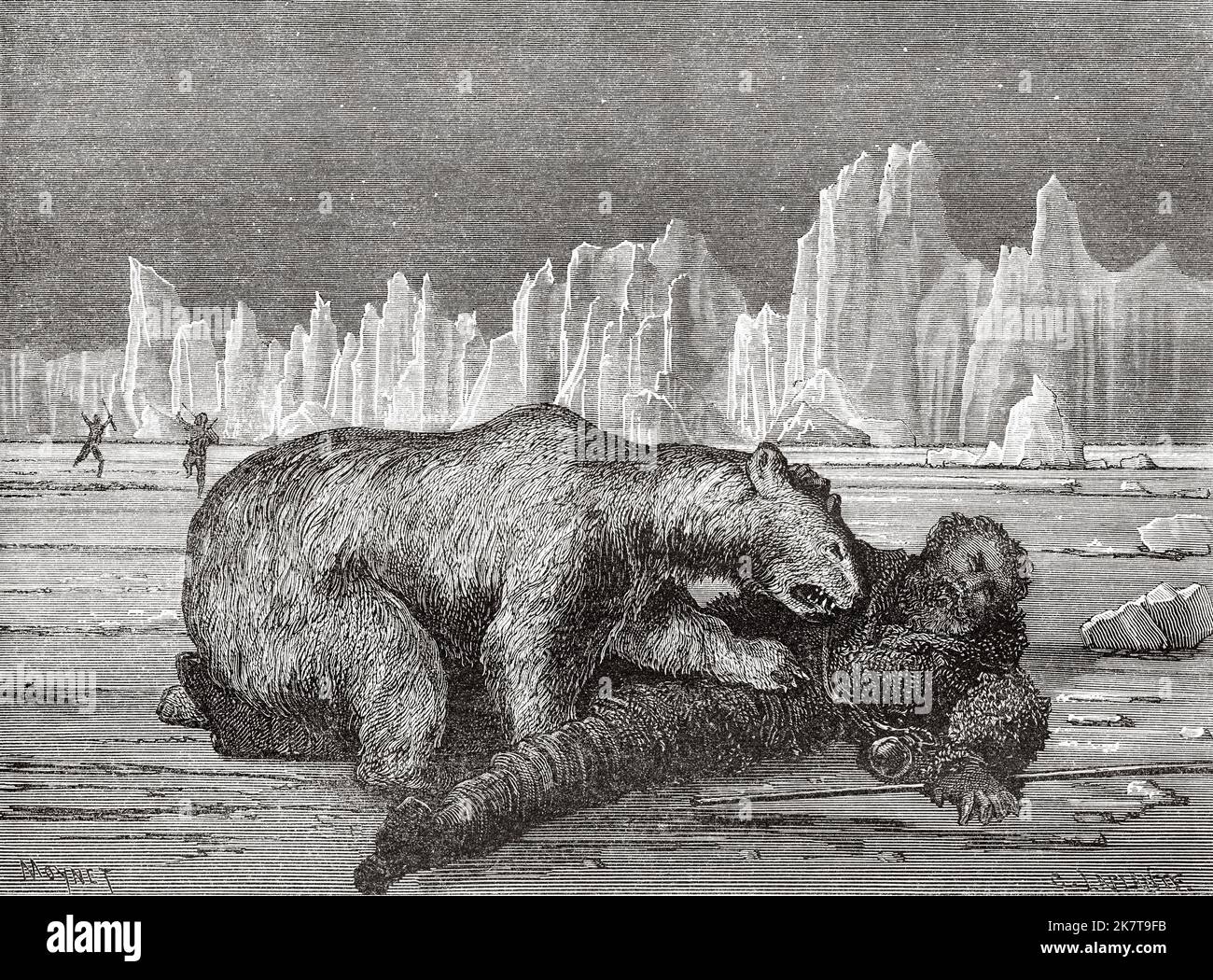 Dr. Borgen wird von einem Eisbären angegriffen. Zweite deutsche Expedition zum Nordpol mit den Schiffen Germania und Hansa, 1869 Stockfoto