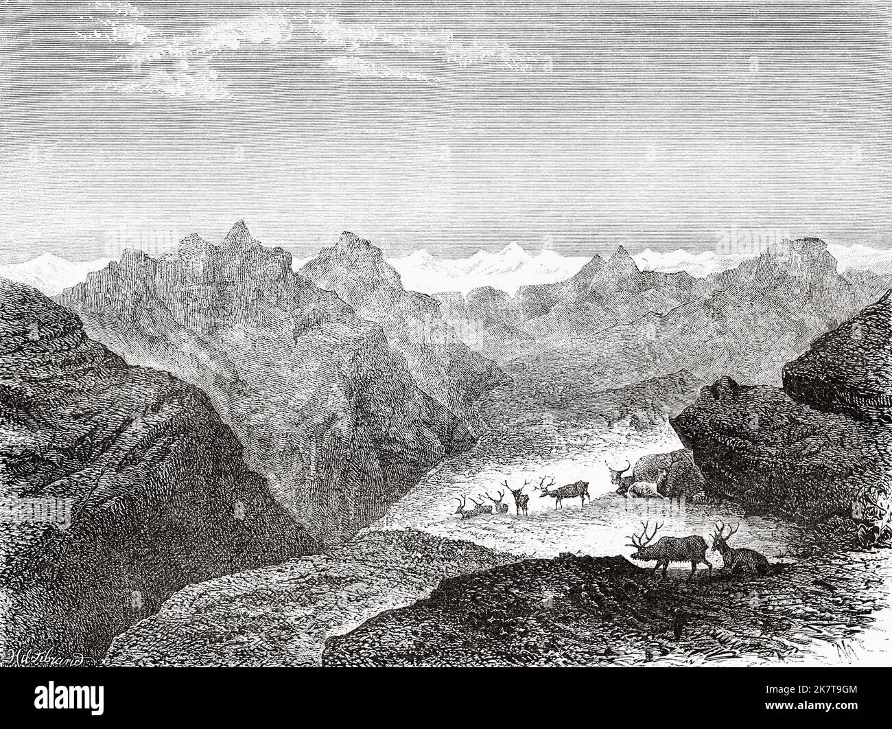 Queen Augusta Valley, King William's Island, Grönland. Zweite deutsche Expedition zum Nordpol mit den Schiffen Germania und Hansa, 1869 Stockfoto