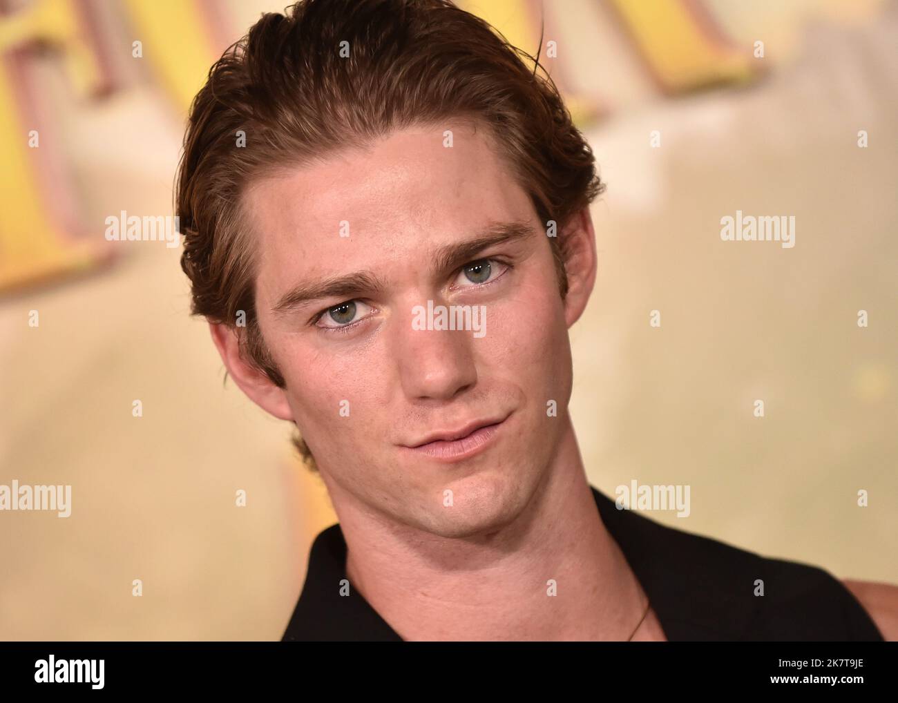 Nico Greetham bei der Netflix-Premiere von „The School for Good & Evil“, die am 18. Oktober 2022 im Regency Village Theatre in Westwood, CA, stattfand. © OConnor / AFF-USA.com Stockfoto