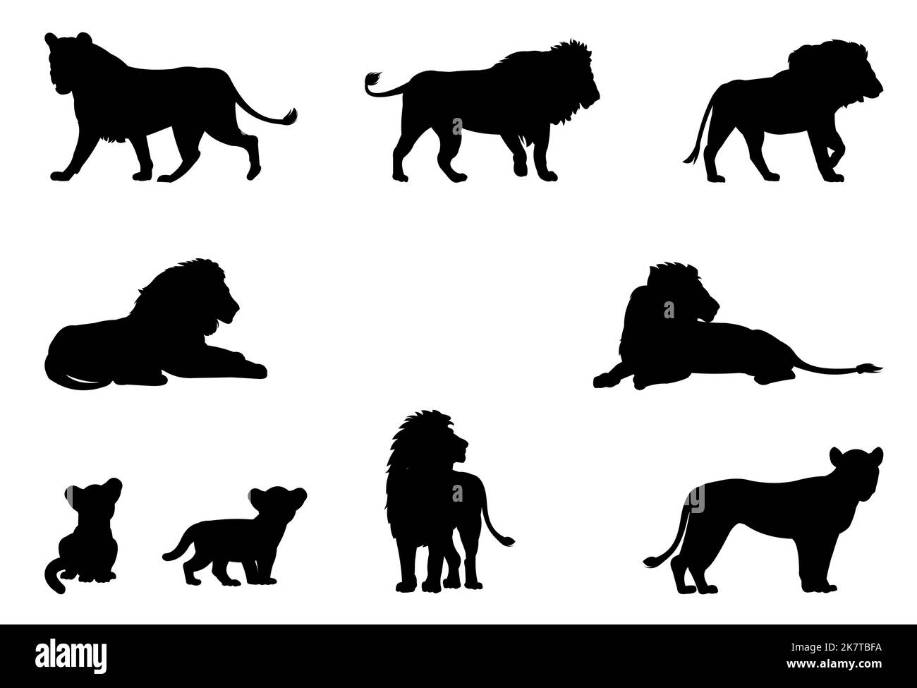 Löwenset. Silhouettenbild. Afrikanischer Savannenräuber. Gefährliches Tier unter natürlichen Bedingungen. Isoliert auf weißem Hintergrund. Vektor Stock Vektor