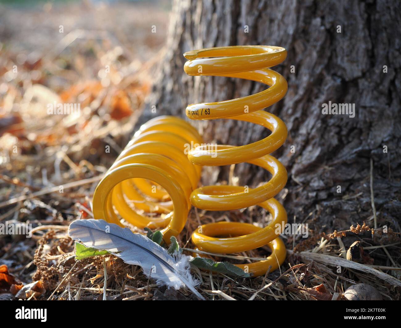 Die Federn Ohlins für einen Stoßdämpfer in der Nähe eines Baumes fotografiert. Stockfoto