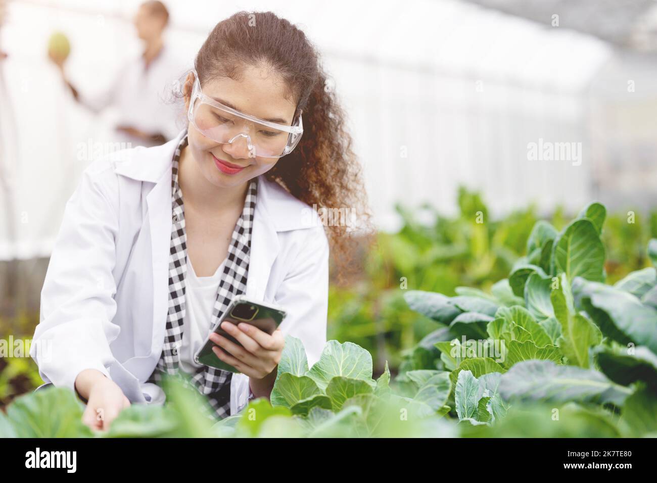 Asiatische Frau Biologie Wissenschaftlerin sammeln Daten in der Landwirtschaft Farm für eine gute Pflanzengemüse Produktivität Stockfoto
