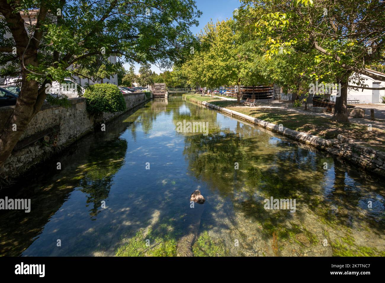 Wasserkanal und Wasserrad in L'Isle-sur-la-Sorgue. Frankreich Stockfoto