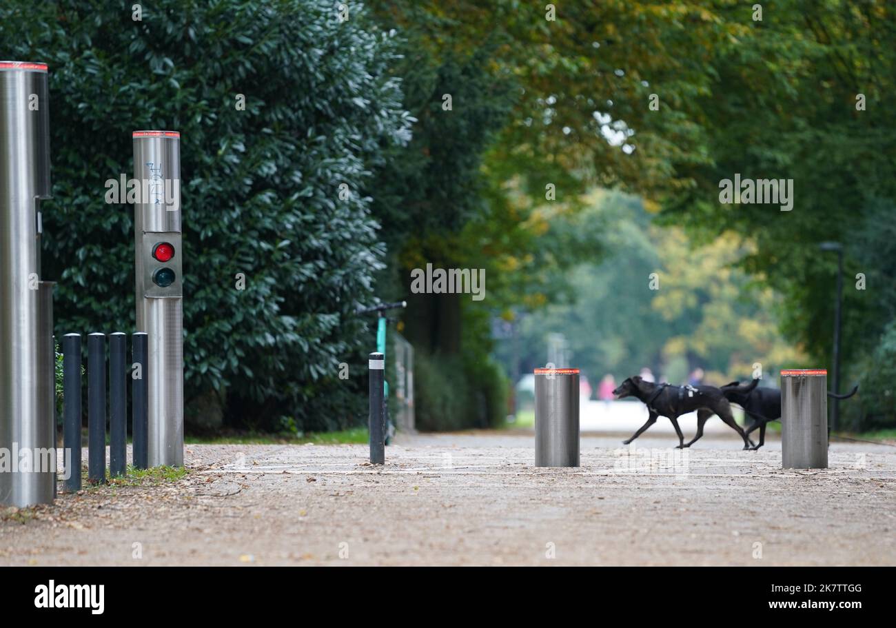 PRODUKTION - 17. Oktober 2022, Hamburg: Zwei Hunde laufen im Stadtpark an einer Polleranlage vorbei. Im Stadtpark wurde eine einfache Barriere durch das Pollersystem ersetzt. Seitdem ist es seit mehr als vier Jahren außer Betrieb und kostet rund 35.000 Euro für Reparatur und Wartung. Die Ausgabe 50. des Black Book of the Taxpayers' Association wird diesen Mittwoch veröffentlicht. Mit den aktuellen Fällen hat Hamburg seit 1973 182 Einträge. Foto: Marcus Brandt/dpa Stockfoto