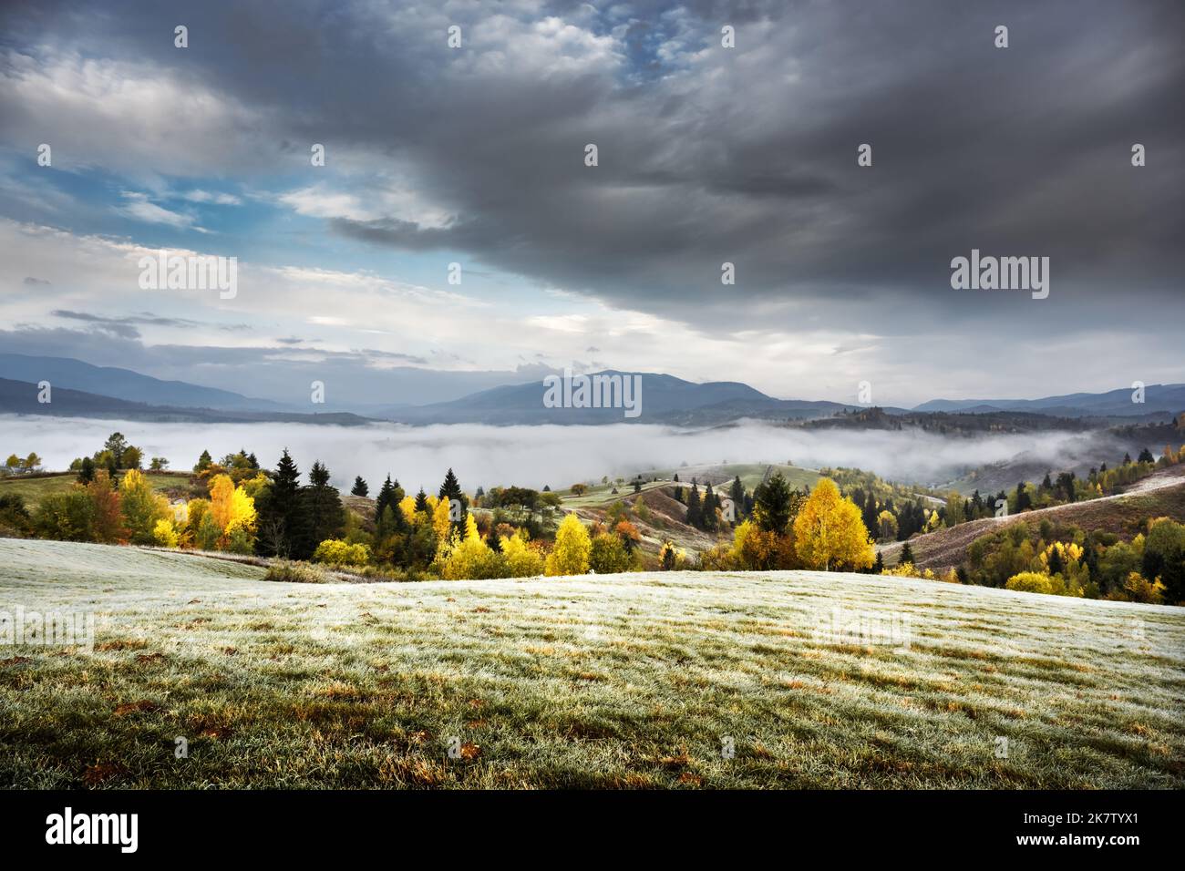 Erstaunliche Szene auf Herbstbergen. Gelbe und orangefarbene Bäume im fantastischen Morgennebel. Karpaten, Europa. Landschaftsfotografie Stockfoto