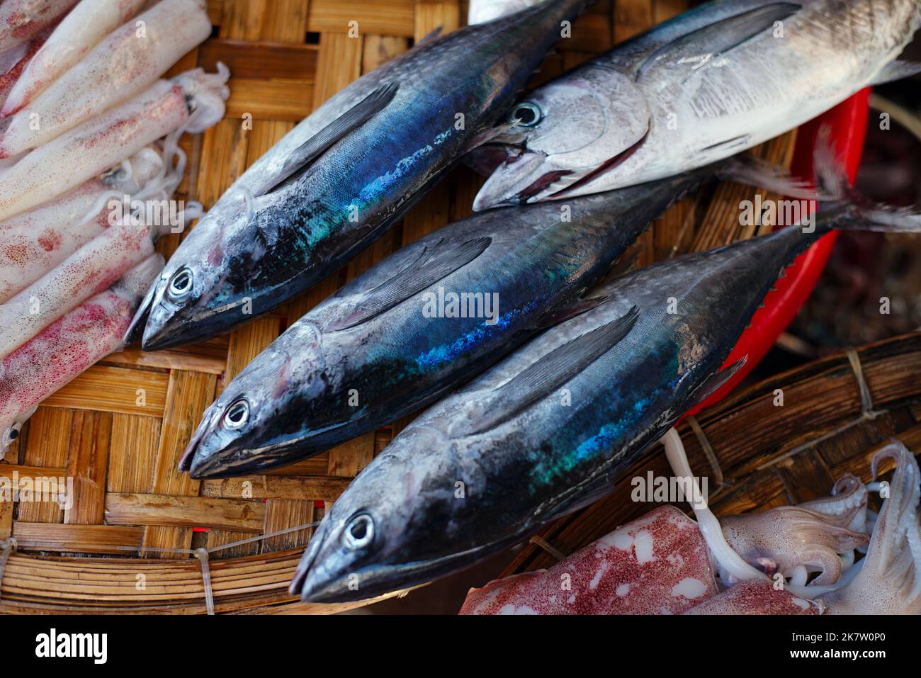 Frischer Thunfisch zum Verkauf auf dem Markt. Nha Trang, Vietnam. Stockfoto