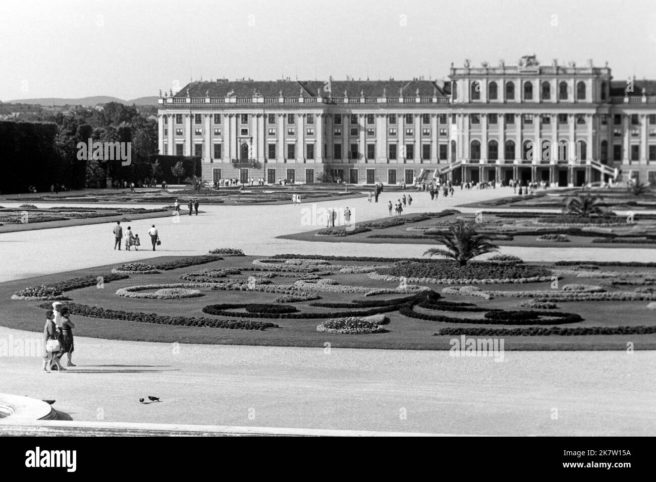 Schloss Schönbrunn in Wien, um 1962. Schloss Schönbrunn in Wien, um 1962. Stockfoto