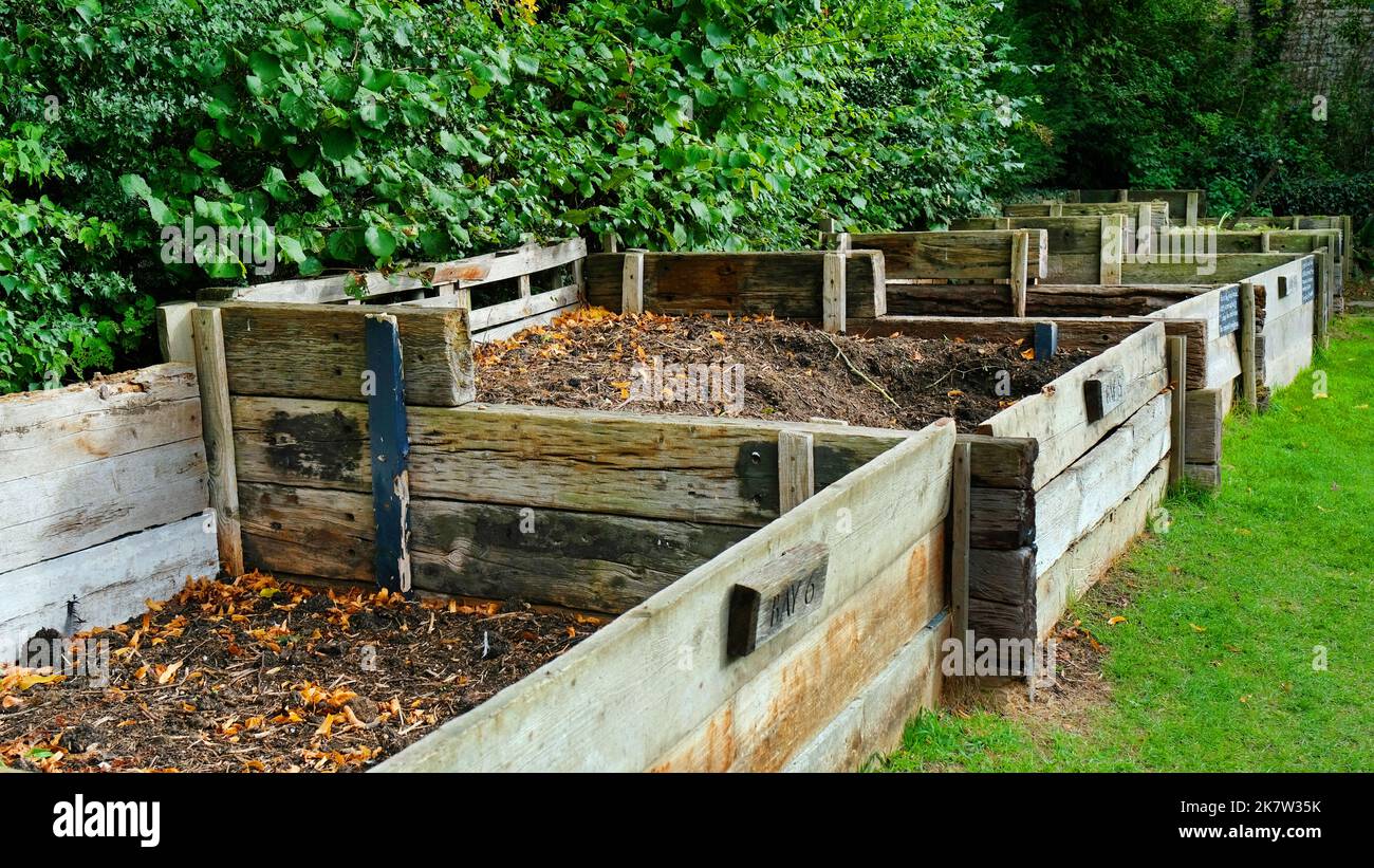 Große Holzkompostbehälter in einem englischen Garten - John Gollop Stockfoto