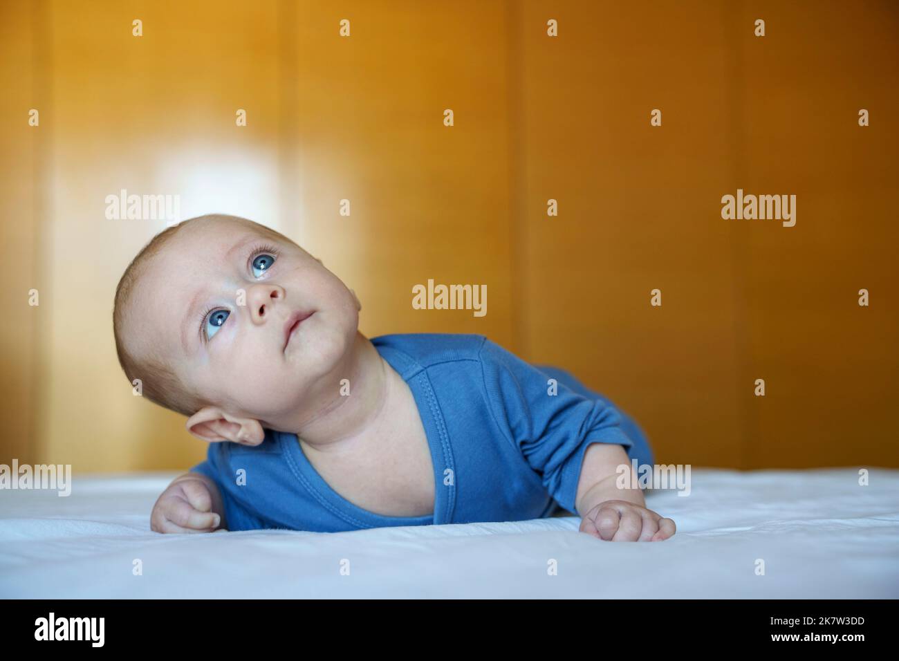 4 Monate altes Baby mit blauen Augen, das aufblickt Stockfoto