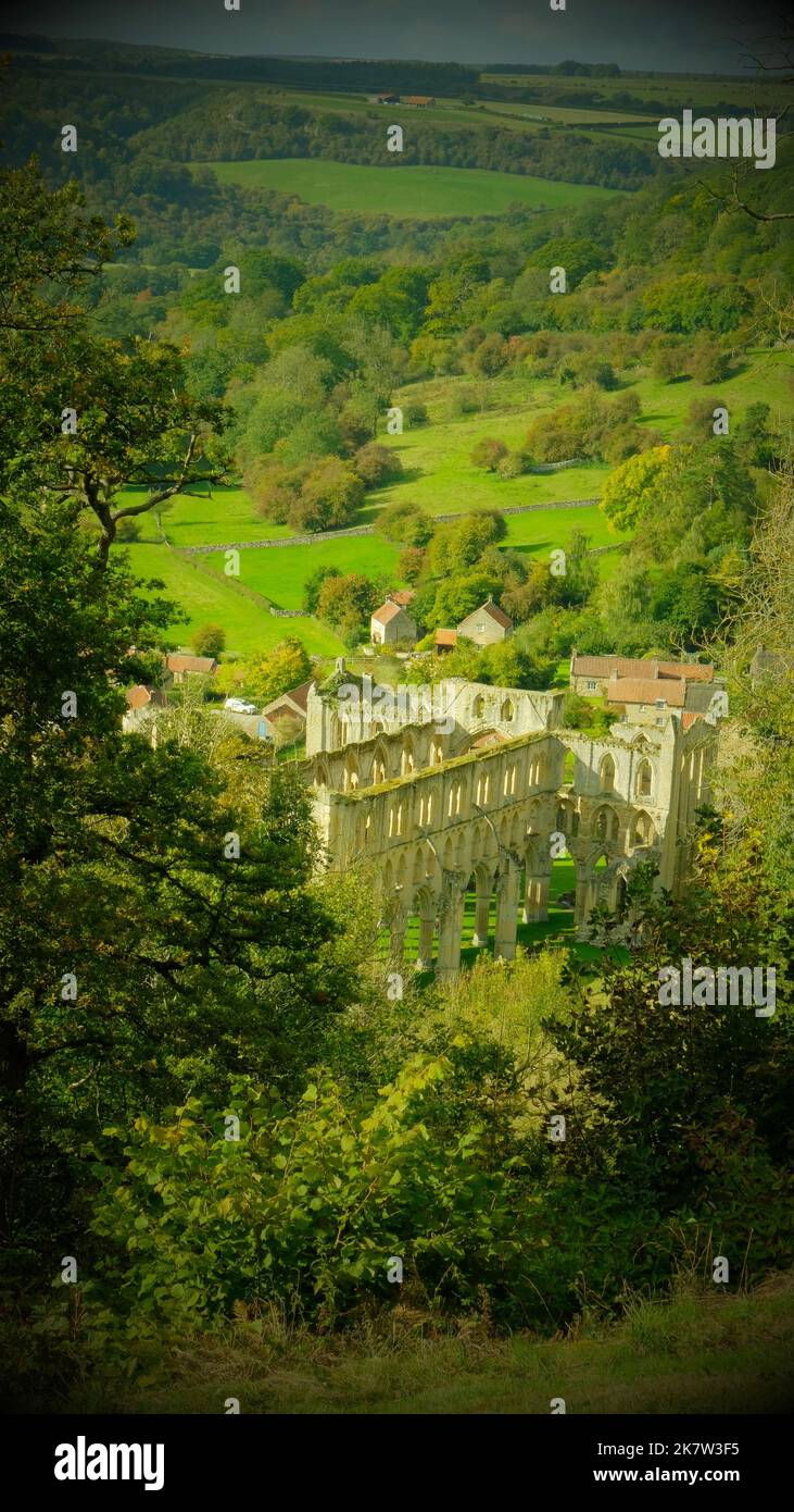 Die Ruinen von Rievaulx Abbey, Helmsley, Yorkshire, Großbritannien - John Gollop Stockfoto