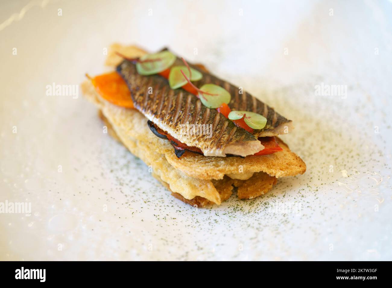 Nouvelle Cuisine Gourmet Fischplatte Stockfoto