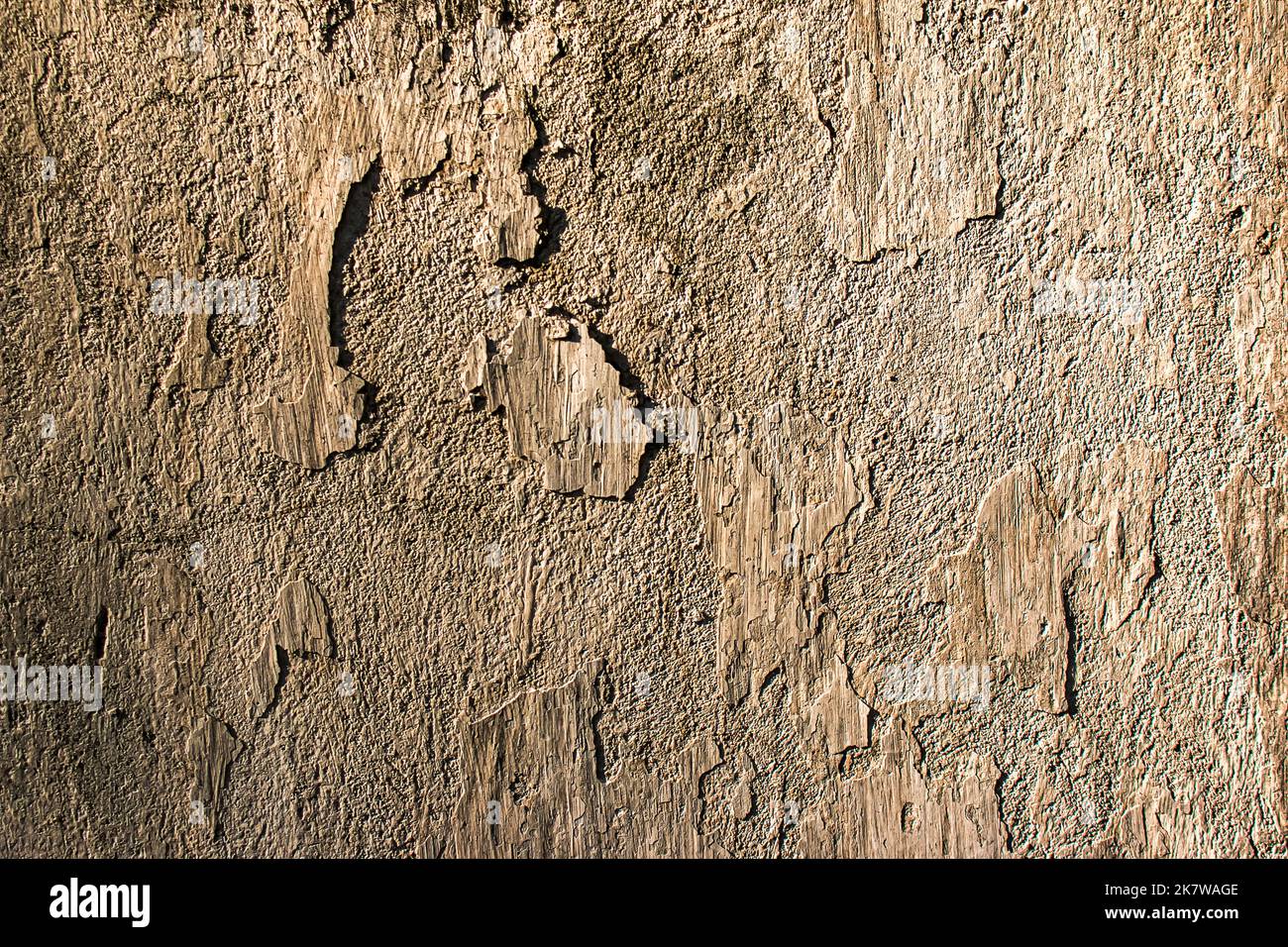 Nahaufnahme retro Farbe Zement Wand Panorama-Hintergrund-Textur für zeigen oder werben oder fördern Produkt und Inhalte auf dem Display und Web-Design-Element c Stockfoto Nahaufnahme retro Farbe Zement Wand Panorama-Hintergrund-Textur für zeigen oder werben oder fördern Produkt und Inhalte auf dem Display und Web-Design-Element c Stockfoto