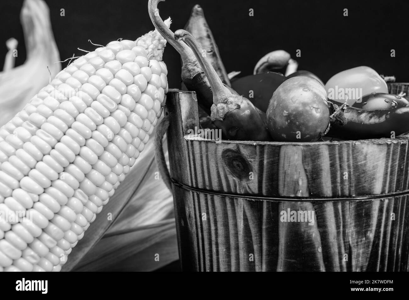 Essen Sie biologisch. Bio-Gemüse. Natürliche Lebensmittel. Frisches Gemüse Stockfoto