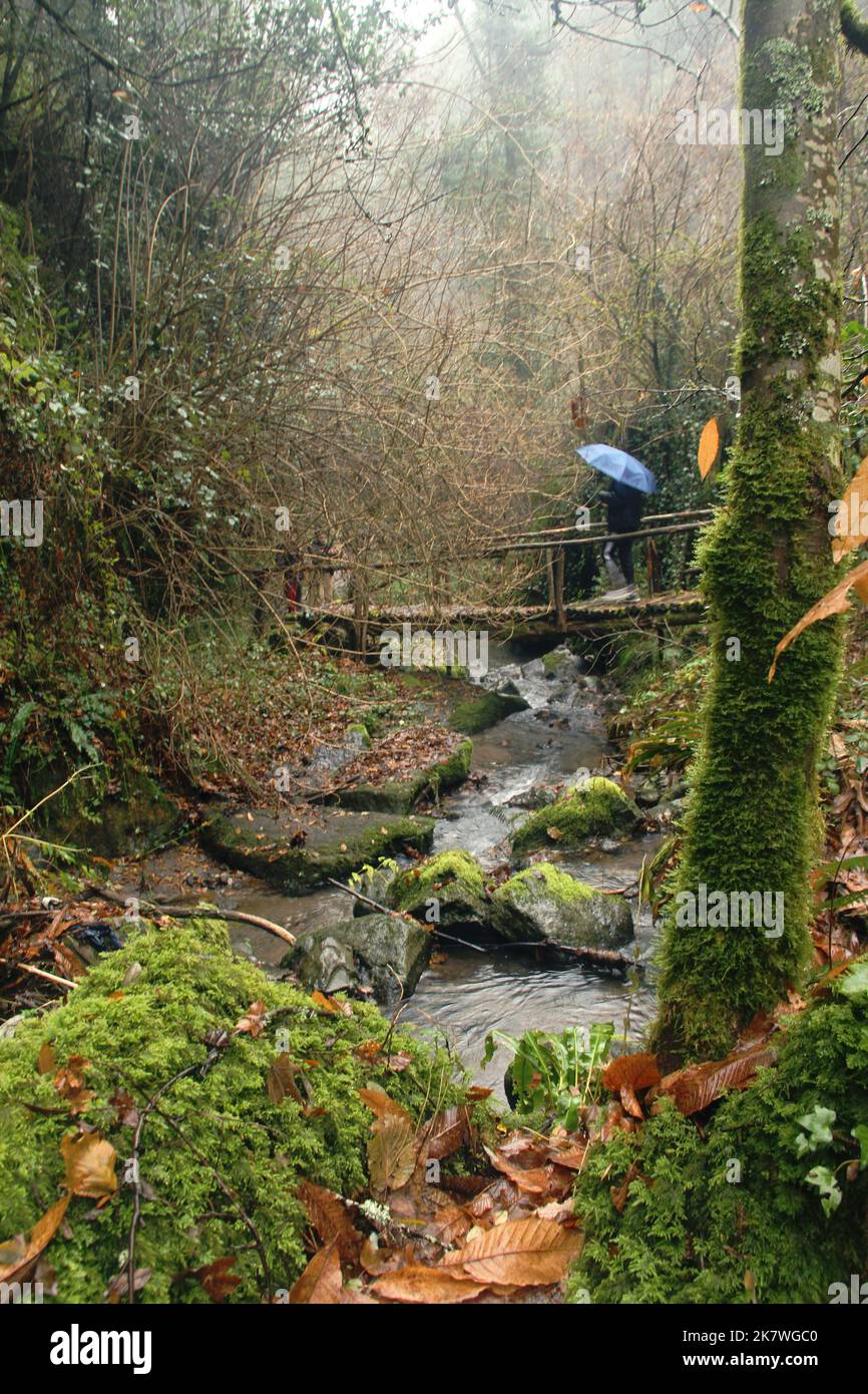 Conca della Campania, Italien. Menschen überqueren an einem regnerischen Wintertag eine Holzbrücke über den Fluss. Vegetation entlang des Pfades Sentiero della Cascata. Stockfoto