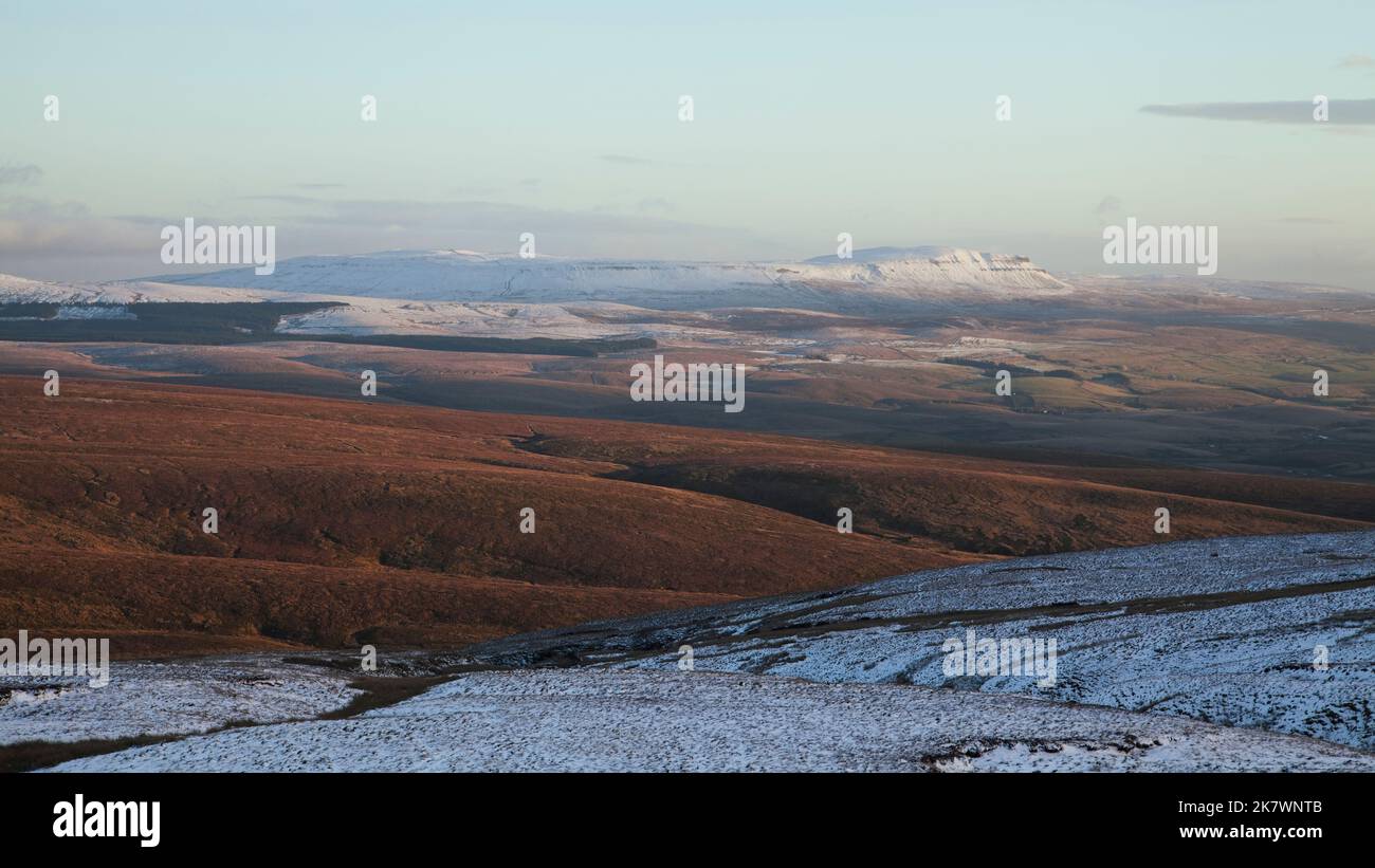 Pen-y-gent von den Flanken von Whernside, im Yorkshire Dales National Park, Großbritannien Stockfoto