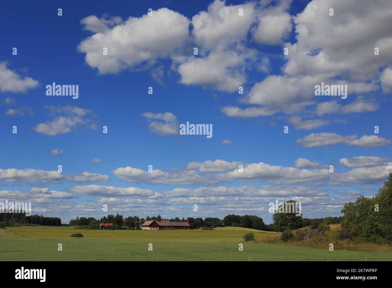Dies ist die Morgenlandschaft in der ländlichen schwedischen Landschaft. Stockfoto