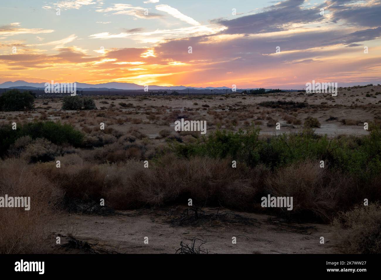 Sonnenuntergang in der Wüste in Südkalifornien in der Nähe der Stadt mit 29 Palmen, in der Nähe des Joshua Tree National Park, USA Stockfoto