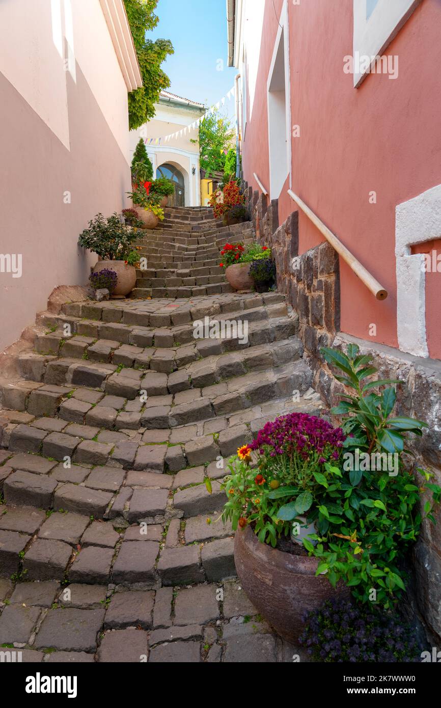Schönes buntes Stadtbild von Szentendre mit herbstlichen Blumentöpfen auf einer schmalen Treppe Stockfoto