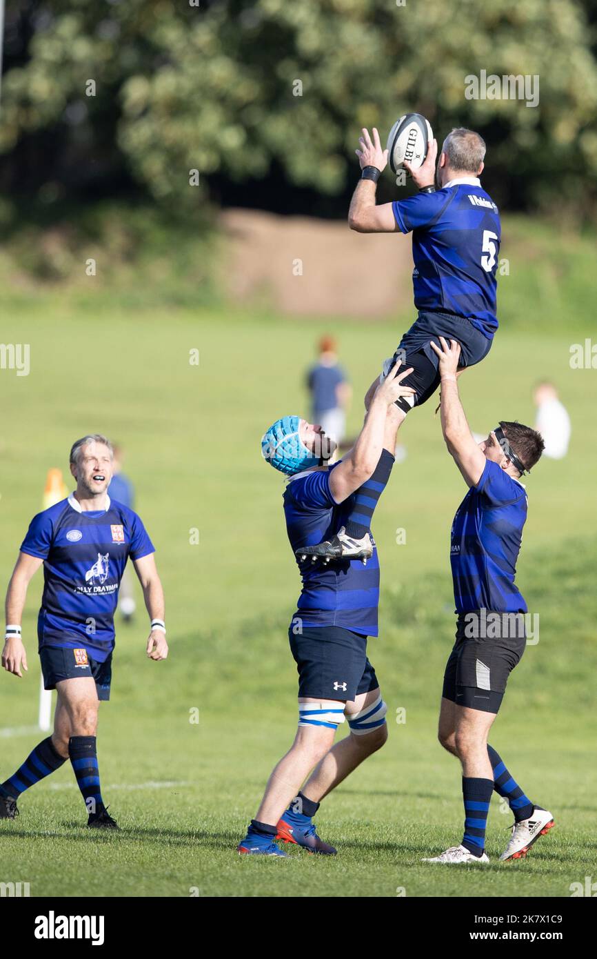 rugby-Spiel, Rugby-Spieler, Rugby-Team, Rugby-Ballrugby-Angriff, Rugby-Scrum, Rugby-Spieler, Rugby-Spielfeld, Rugby-Ball, Rugby-Team-Spiel, Angriff, Scrum, Angriff, zu Stockfoto