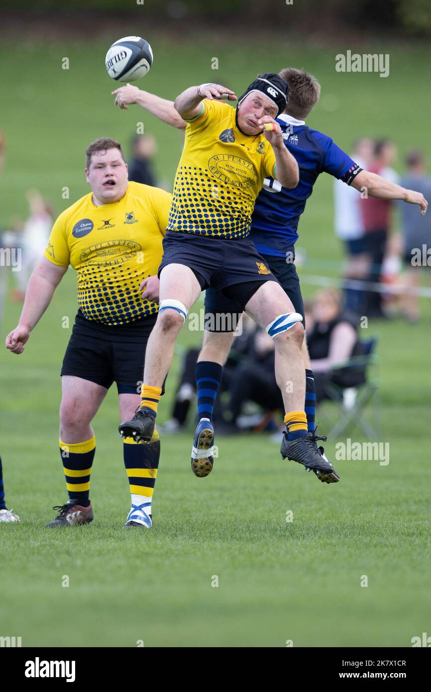 rugby-Spiel, Rugby-Spieler, Rugby-Team, Rugby-Ballrugby-Angriff, Rugby-Scrum, Rugby-Spieler, Rugby-Spielfeld, Rugby-Ball, Rugby-Team-Spiel, Angriff, Scrum, Angriff, zu Stockfoto