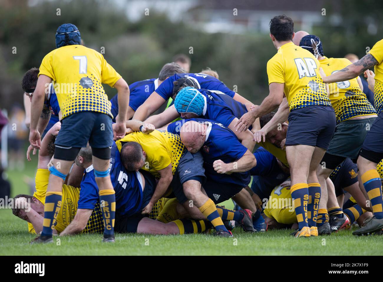 rugby-Spiel, Rugby-Spieler, Rugby-Team, Rugby-Ballrugby-Angriff, Rugby-Scrum, Rugby-Spieler, Rugby-Spielfeld, Rugby-Ball, Rugby-Team-Spiel, Angriff, Scrum, Angriff, zu Stockfoto