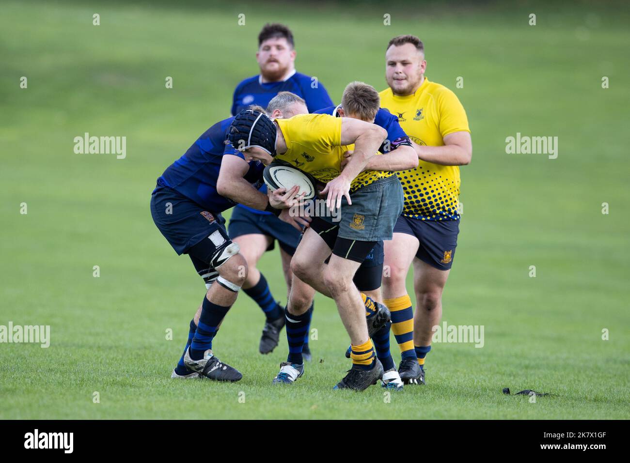 rugby-Spiel, Rugby-Spieler, Rugby-Team, Rugby-Ballrugby-Angriff, Rugby-Scrum, Rugby-Spieler, Rugby-Spielfeld, Rugby-Ball, Rugby-Team-Spiel, Angriff, Scrum, Angriff, zu Stockfoto