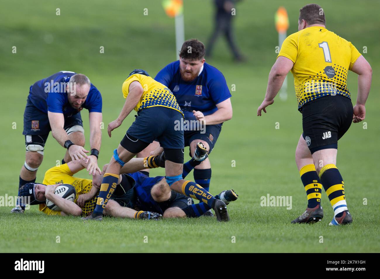 rugby-Spiel, Rugby-Spieler, Rugby-Team, Rugby-Ballrugby-Angriff, Rugby-Scrum, Rugby-Spieler, Rugby-Spielfeld, Rugby-Ball, Rugby-Team-Spiel, Angriff, Scrum, Angriff, zu Stockfoto